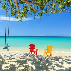 And Tan Jamaica