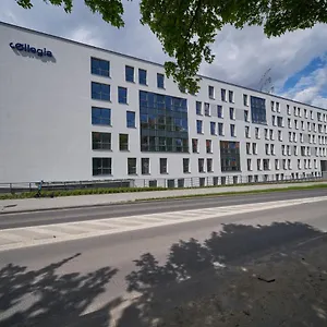 Collegia Gdańsk